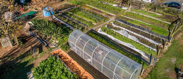 Kaicycle Urban Farm Community Open Day