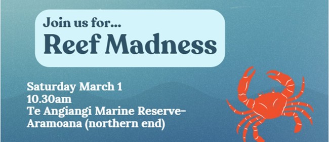 Reef Madness at Te Angiangi Marine Reserve - Seaweek 2025