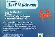 Reef Madness at Te Angiangi Marine Reserve - Seaweek 2025