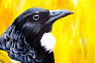 Paint and Wine Night in Napier - Kowhai Tui