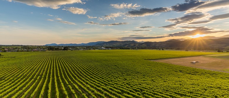 Seifried Estate Tasting with Wine Club Taupo