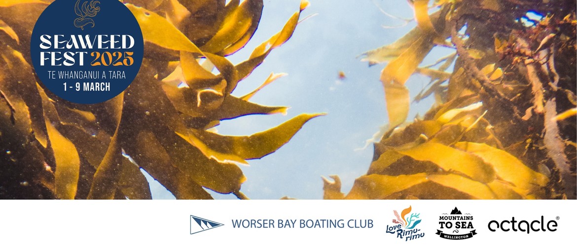 Seaweed Fest 2025: Whānau Festival Farewell & Snorkel Seaweed Fest 2025: Whānau Festival Farewell & Snorkel