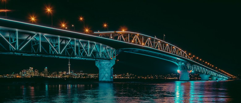 Vector Lights for Pasifika Festival 2025