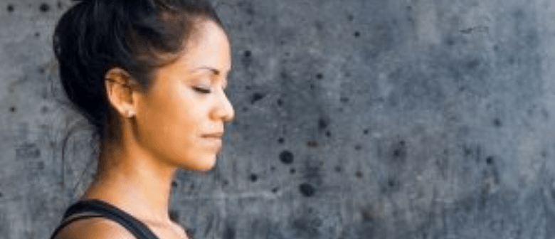 Meditation for Beginners - Half Day Course