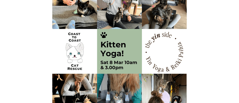 Fundraiser Kitten Yoga Class