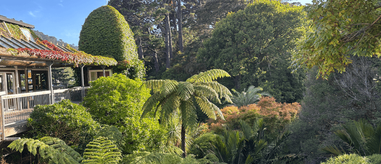 Autumn Poems and Colours - Guided Walk