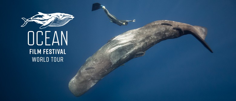 Ocean Film Festival Tour 2025