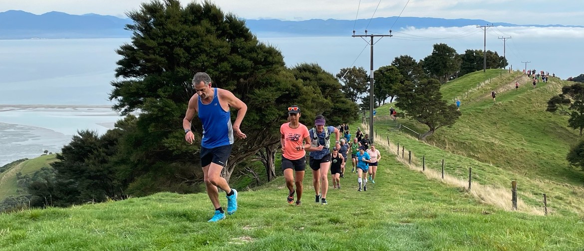 Harris Hill - Top Challenge