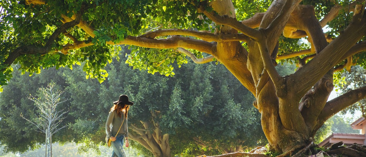 Grief Workshop - Sacred Self Healing, Introspection, Sharing Grief Workshop - Sacred Self Healing, Introspection, Sharing