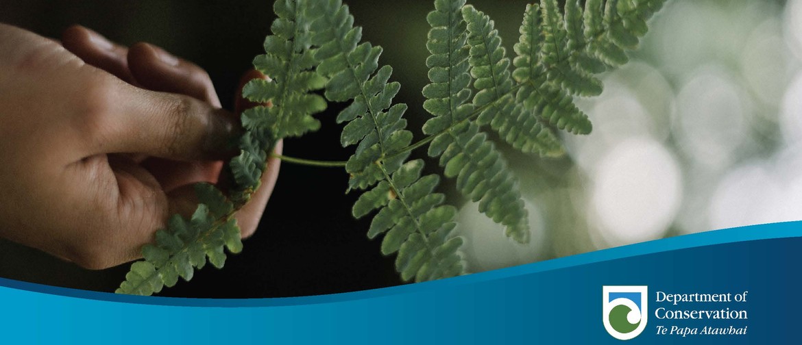Learn: Plant Identification