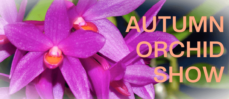 Autumn Orchid Show