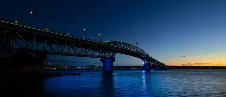 Vector Lights for Earth Hour 2025