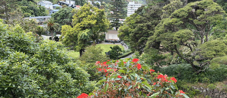 Revisiting Summers-Past - Guided Walk