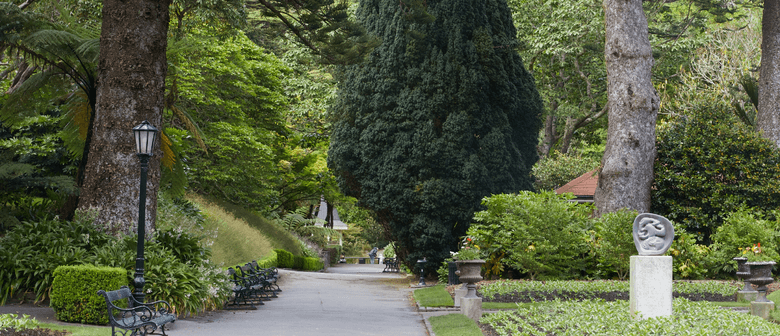 The Garden Is a ‘Pharmacy’ - Guided Walk