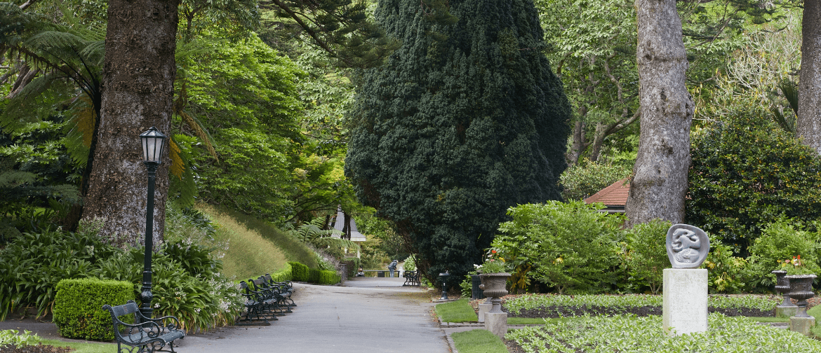 The Garden Is a ‘Pharmacy’ - Guided Walk The Garden Is a ‘Pharmacy’ - Guided Walk