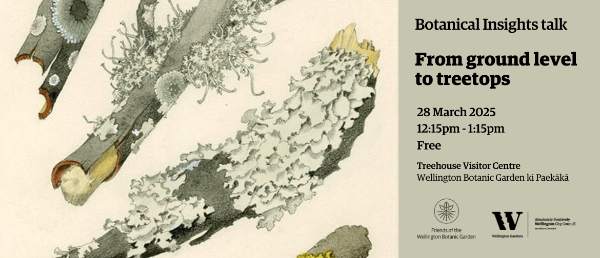 From Ground Level to Treetops - Insights Talk From Ground Level to Treetops - Insights Talk