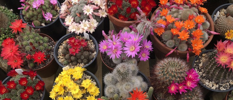 Manawatu Cactus & Succulent Society Open Day and Plant Sale