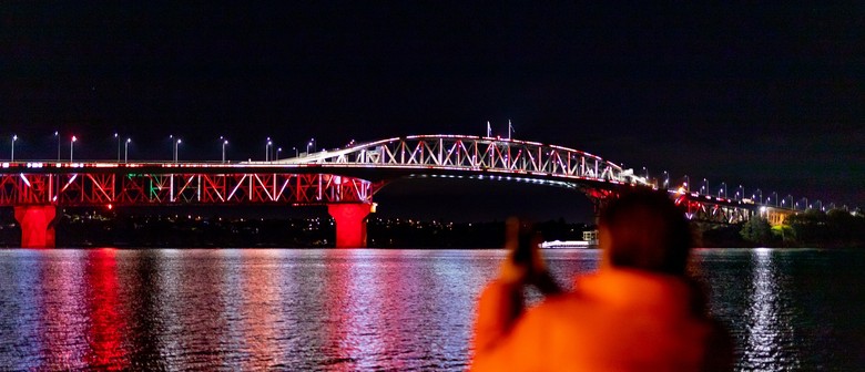 Vector Lights for World of Cultures 2025