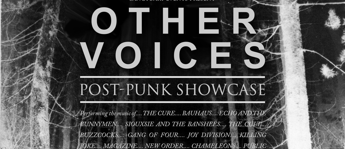 Other Voices : Post-Punk Showcase Other Voices : Post-Punk Showcase