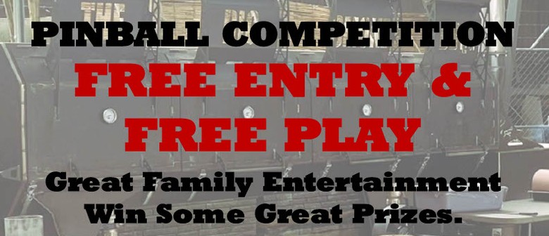 Family Fun Pinball Competition