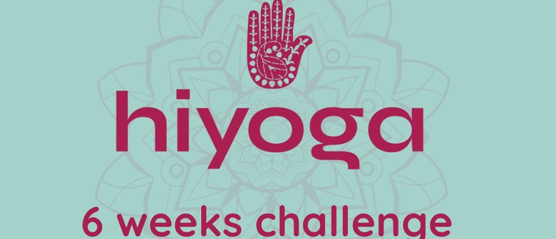 6 Week Challenge