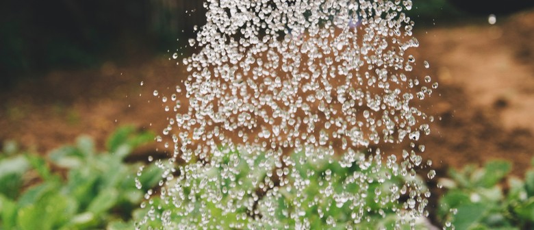 Garden Design: Landscaping