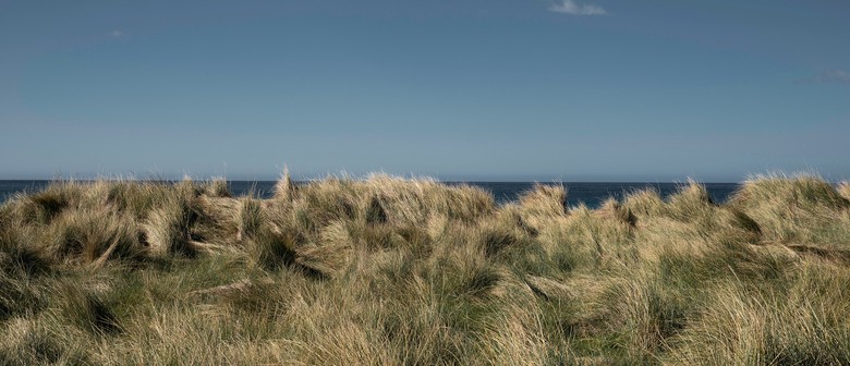 Huikaau – Where Currents Meet