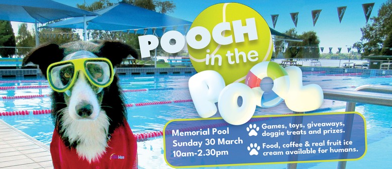 Pooch In the Pool