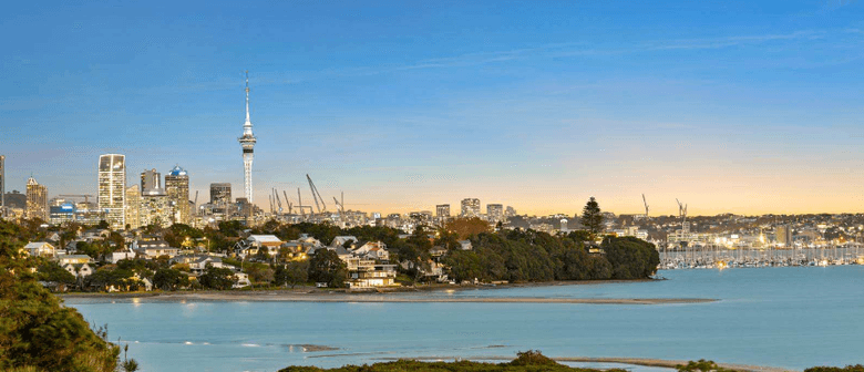 Hauraki School Electric Picnic