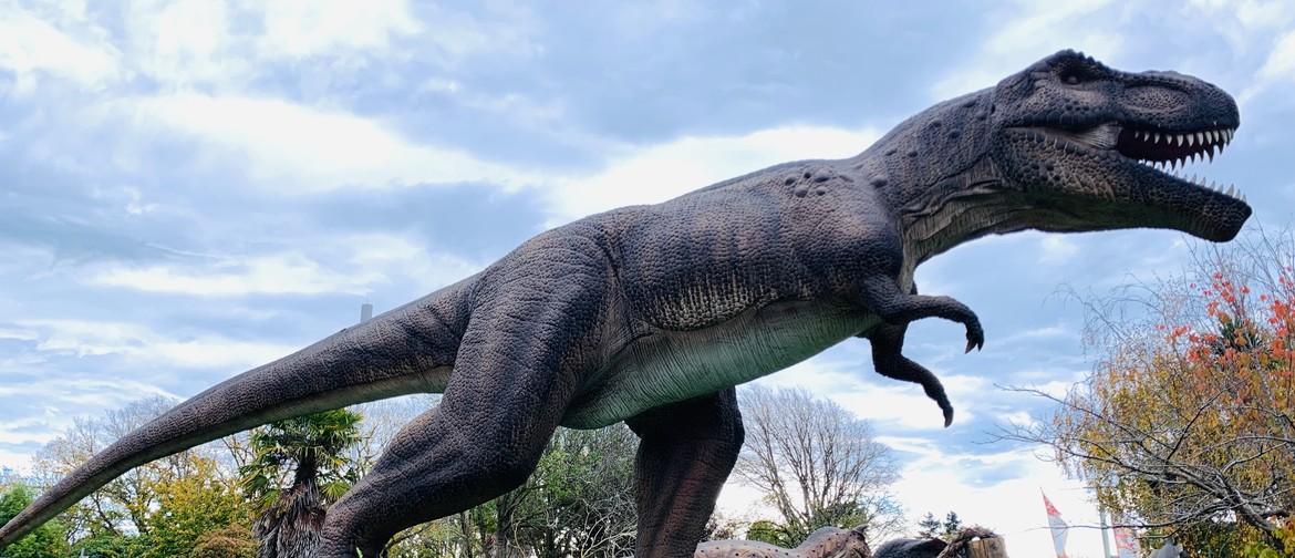 The Amazing Dinosaur Discovery The Amazing Dinosaur Discovery