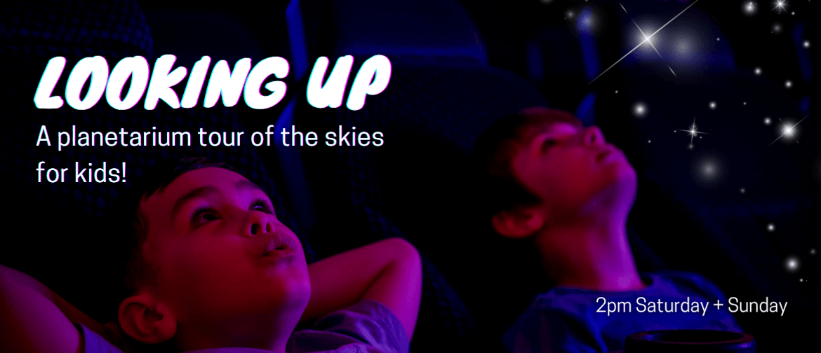 Looking Up: A Tour of The Skies for Kids Looking Up: A Tour of The Skies for Kids