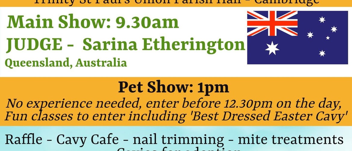 Guinea Pig Show Guinea Pig Show