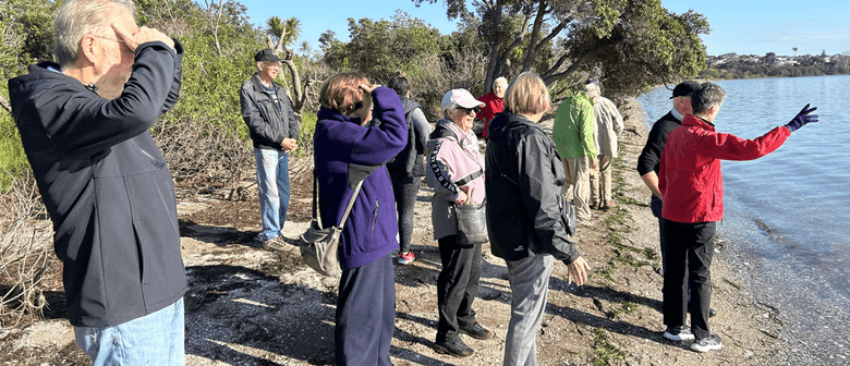 Somervell Walking Group