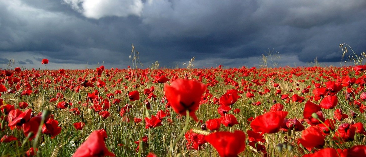 Golden Bay ANZAC Civic Service