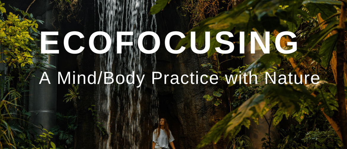 Ecofocusing – A Mind/Body Practice with Nature Ecofocusing – A Mind/Body Practice with Nature