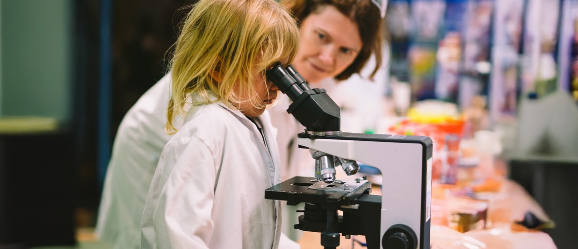 STEM Fair 2025 STEM Fair 2025