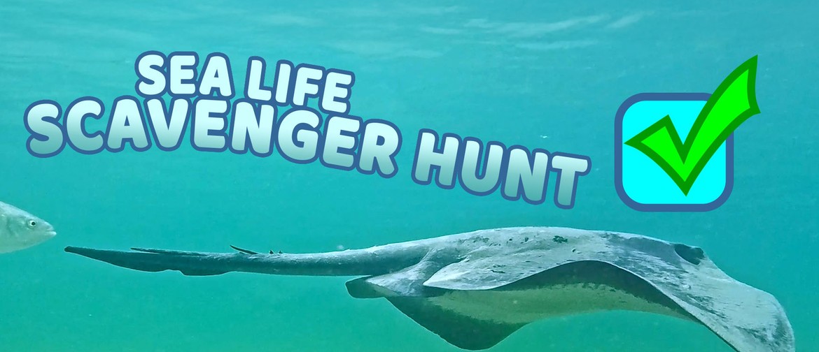 Sea Life Scavenger Hunt Sea Life Scavenger Hunt