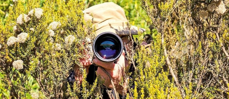 Getting Closer – Wildlife Photography Field Trip