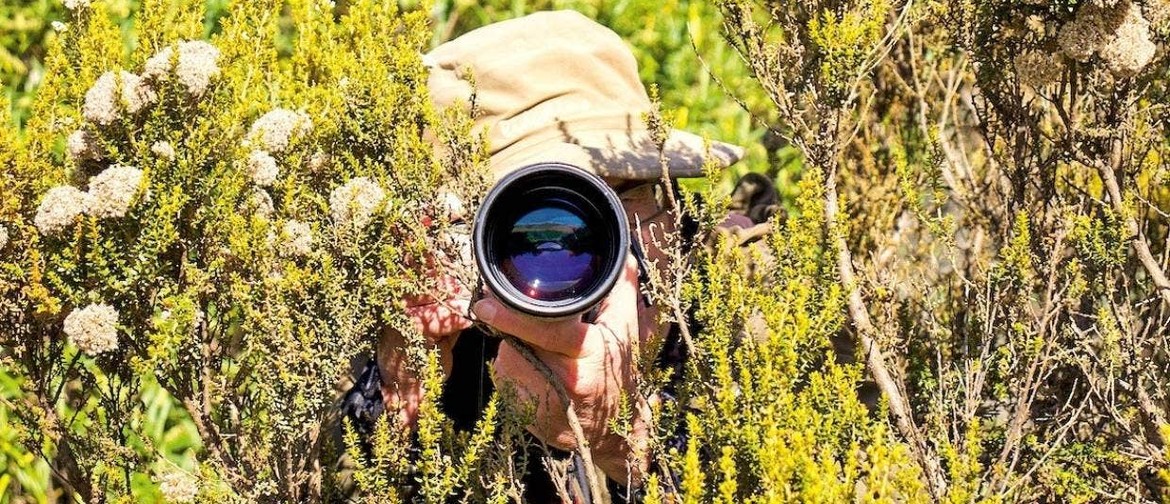 Getting Closer – Wildlife Photography Field Trip Getting Closer – Wildlife Photography Field Trip