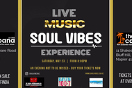 Soul Vibes Experience Show