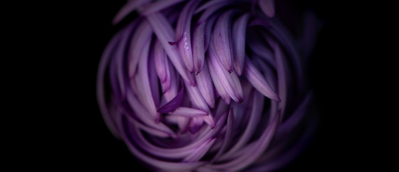 Flower Photography School for Beginners with Grant Beedie