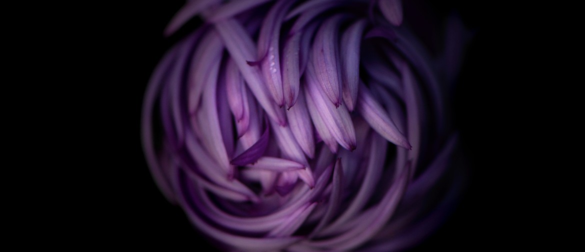 Flower Photography School for Beginners with Grant Beedie Flower Photography School for Beginners with Grant Beedie