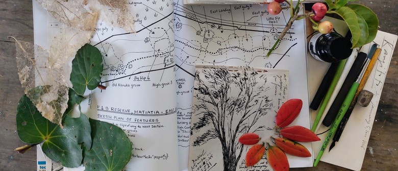 Understory - Regeneration Zone