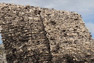 Exhibition Tour: What Thrives On These Soils