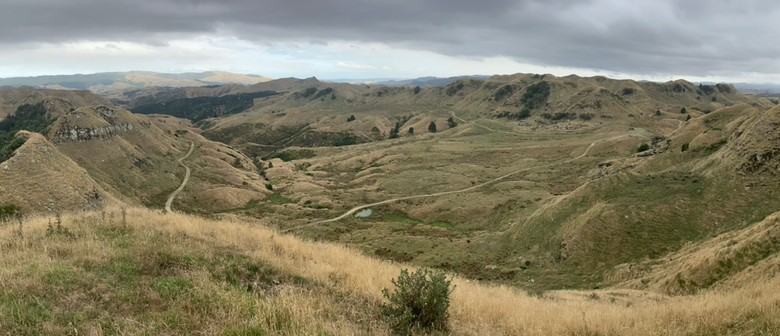 New Zealand Short Course Rogaine Championship 2025