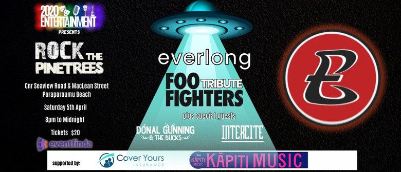 Foo Fighters Tribute Everlong at Rock The Pinetrees