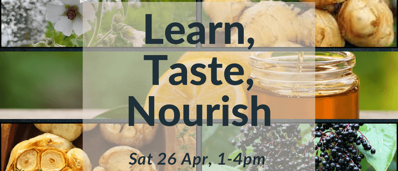 Learn, Taste, Nourish: Herbal Support for Digestion