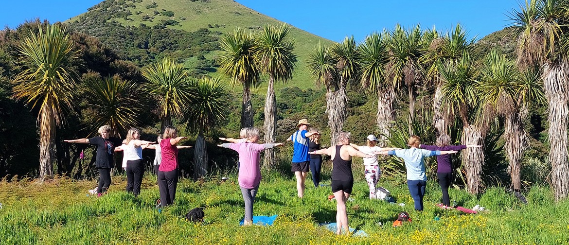 Yoga on a Hilltop Yoga pose - Warrior 1