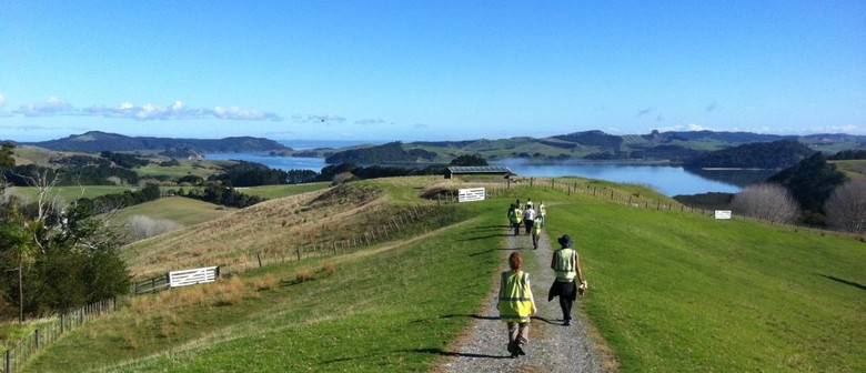 Atiu Creek Weedbusting!
