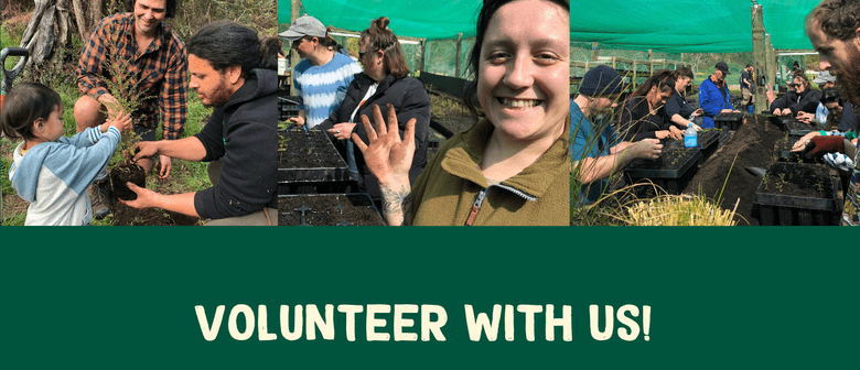 Potting Up Party - Weekly